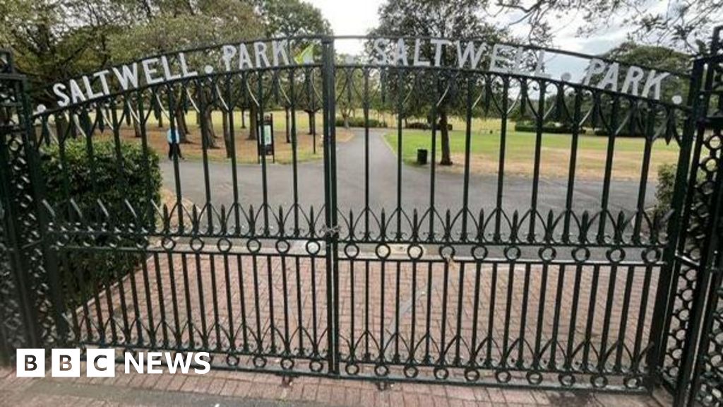 Gateshead men guilty of raping girls they met in park