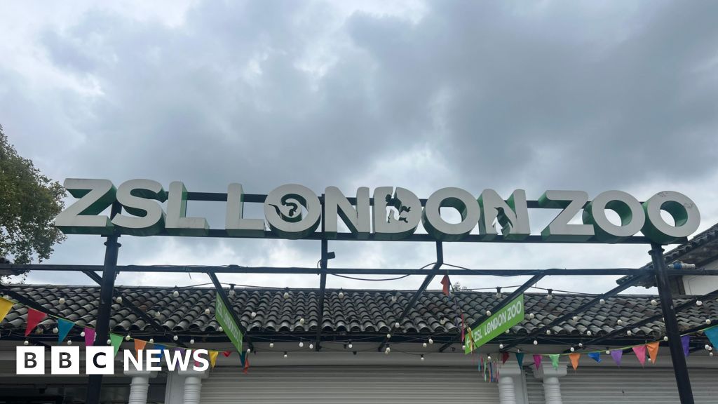 Zoo charity launches voluntary redundancy scheme