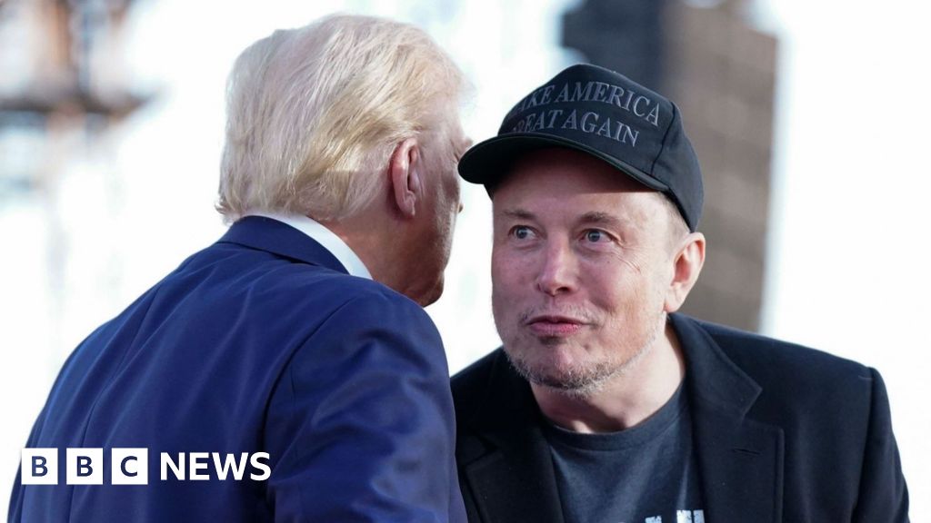 Why is Elon Musk becoming Donald Trump's efficiency adviser?