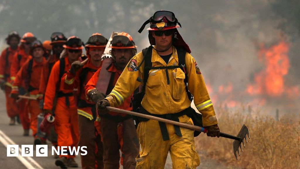 The Prisoners Fighting Wildfires In California Bbc News