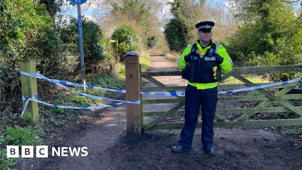 Body discovered at Marston Marsh nature reserve in Norwich BBC News