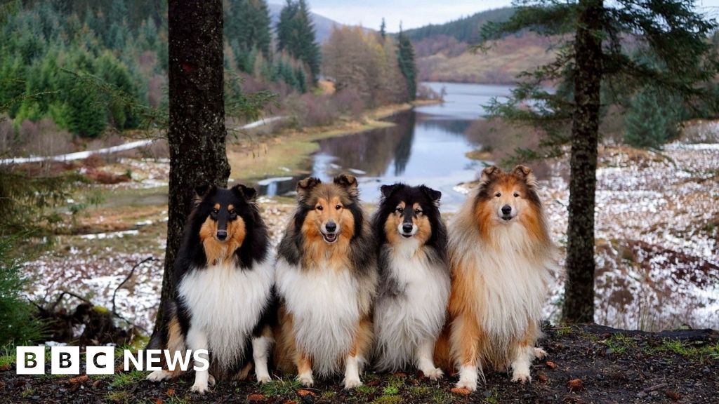 Your pictures of Scotland: Photographs from around the country