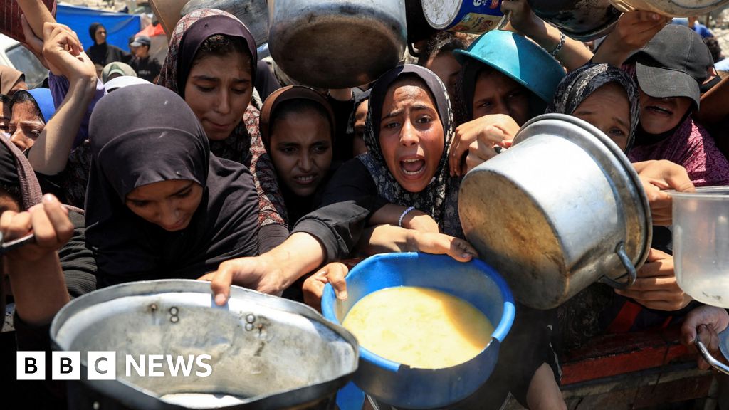 Almost a third of people in Gaza not eating for days, UN food programme warns