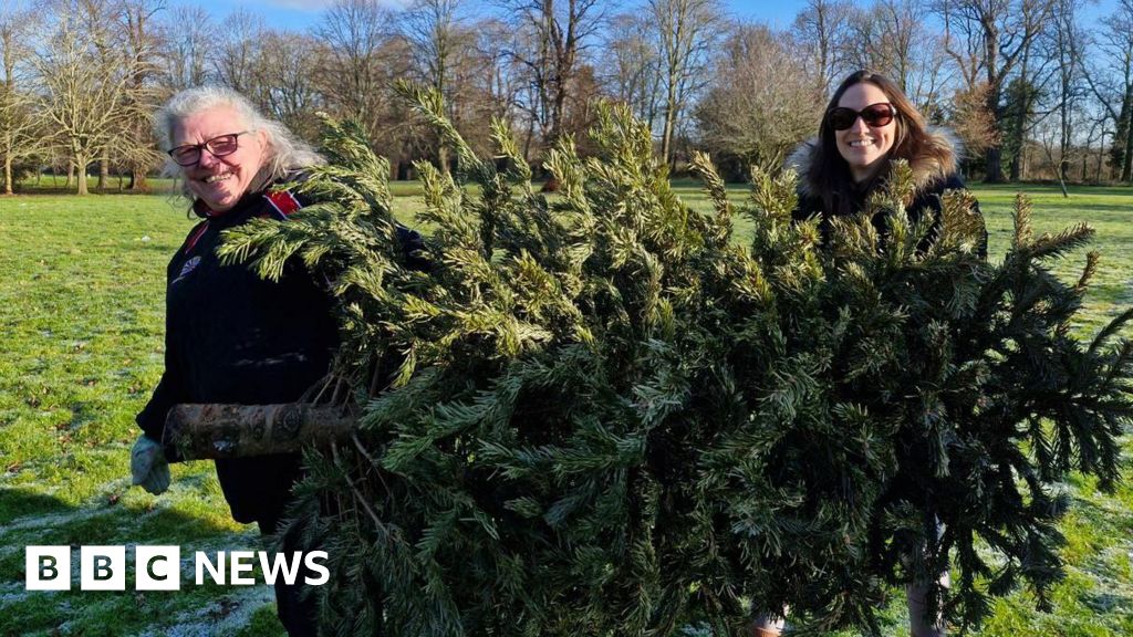 Christmas Tree Collections Raise Over £80,000 for Charities