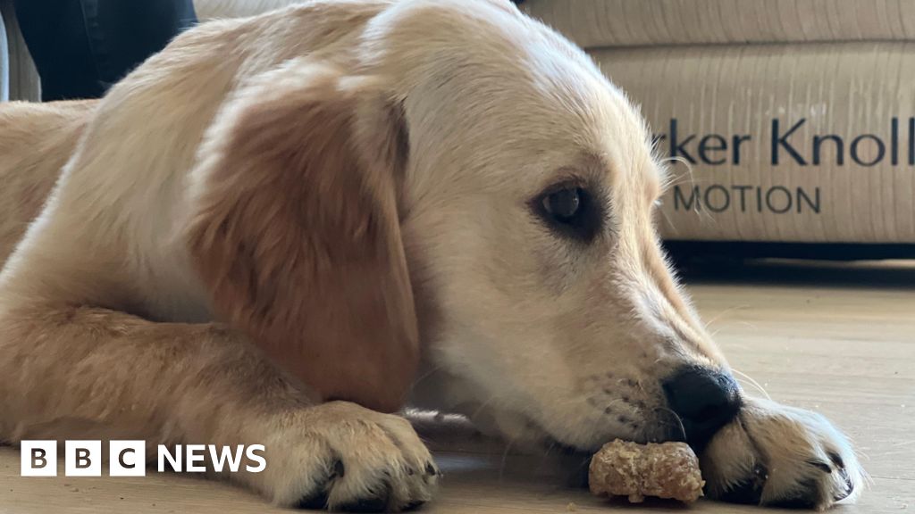 Weekly round-up: Stories you may have missed