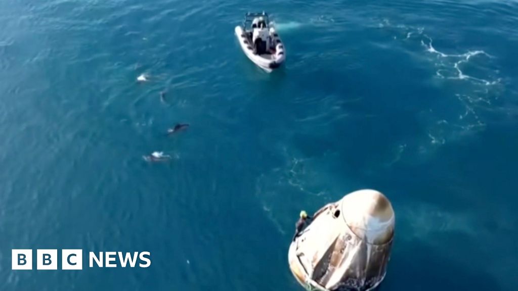 Watch: Dolphins surround Dragon capsule after successful splashdown