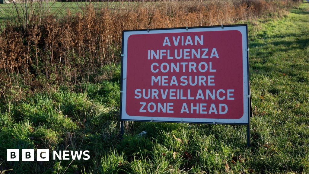 Bird Flu Confirmed at Devon, Somerset Farms with Culling, UK-Wide Precautions