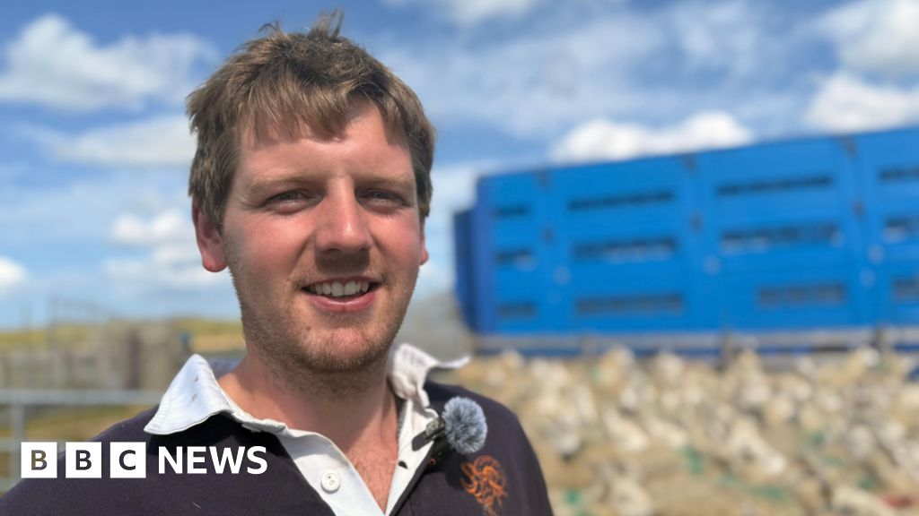 Pride-in-the-wool jetsetter who swapped job seeking for sheep shearing