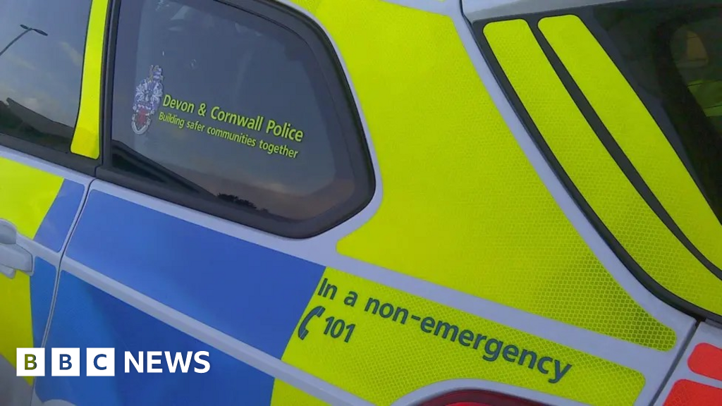 Girl, 8, in hospital and horse dies after van crash