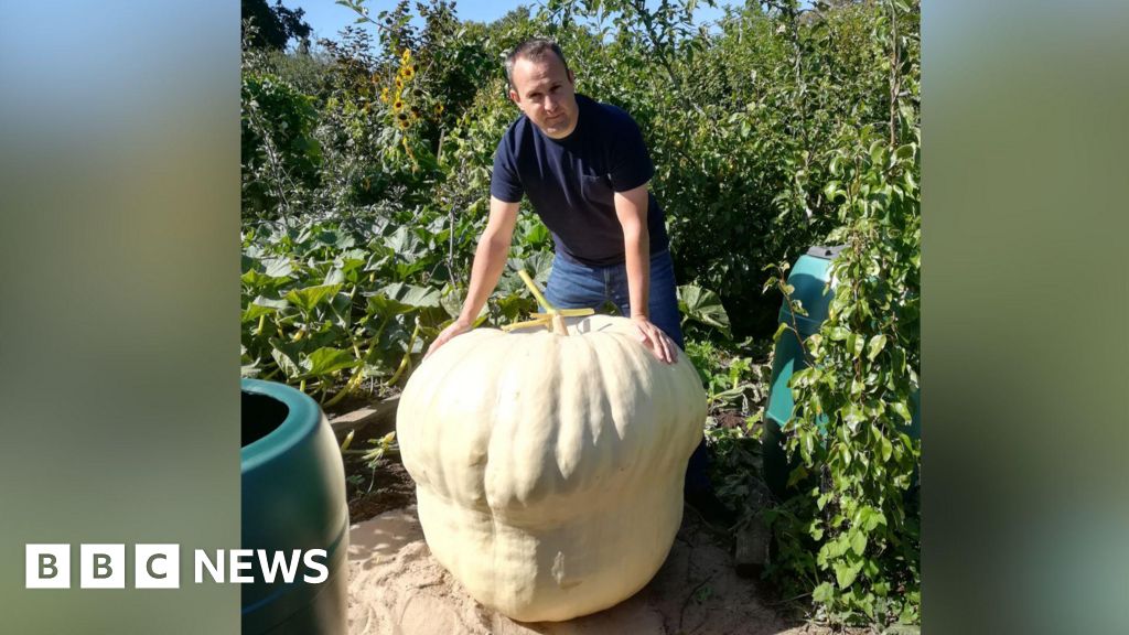 Giant Pumpkin Festival Draws Enthusiasts From Utah, Wyoming, Idaho