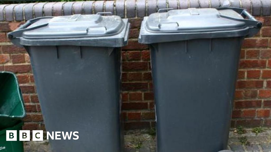 Peterborough black bin size could be reduced to promote recycling