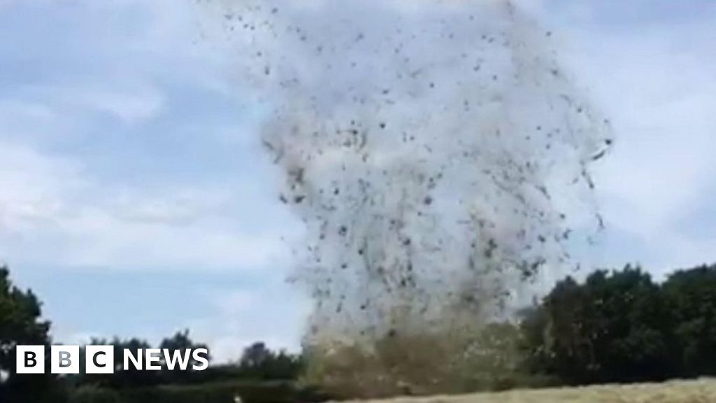 Dust devil whips up Sticklepath hay field BBC News