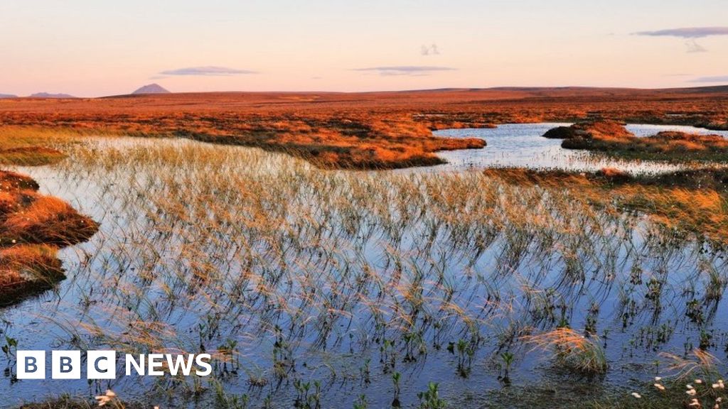 Scotland's Flow Country focus of Unesco World Heritage bid - BBC News