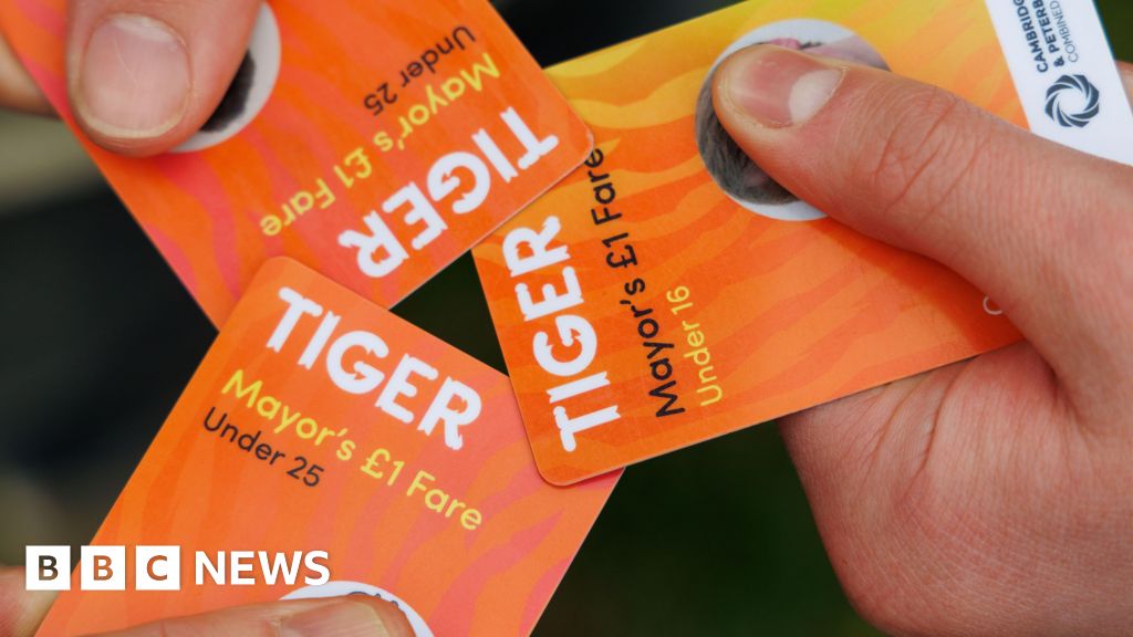 Cambridgeshire Council Warns Drastic Action Needed to Save £1 Tiger Bus Pass