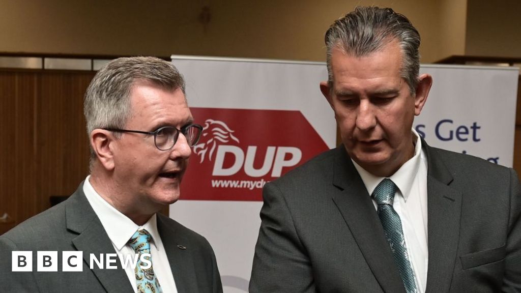 DUP's Unprecedented Donaldson Review Raises Questions About Party Governance and Intelligence Failures