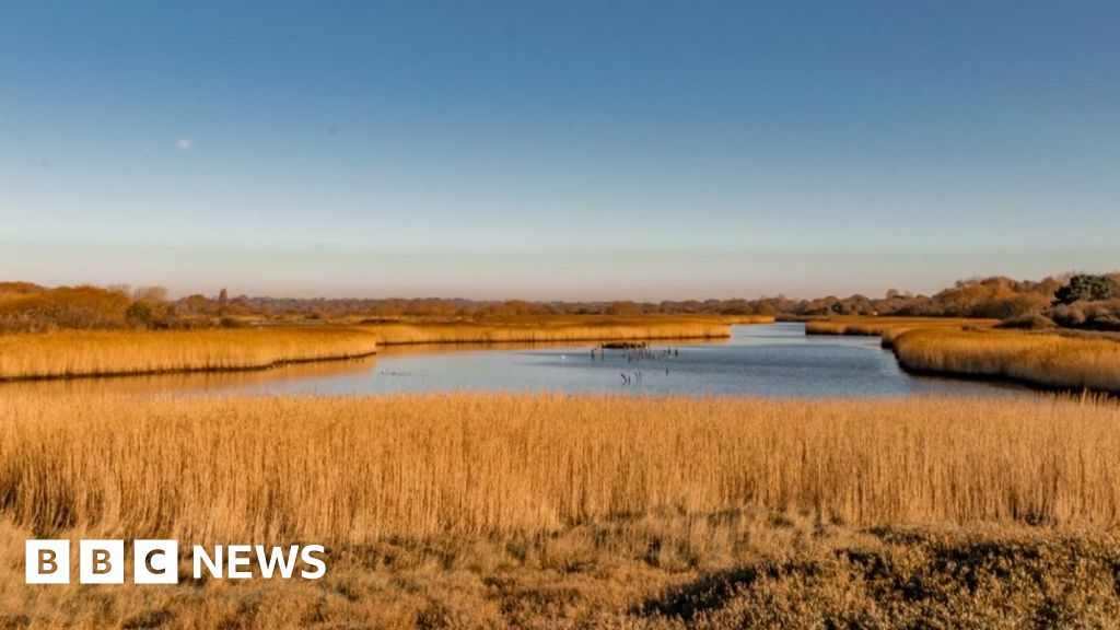 Thousands object to Titchfield Haven visitor centre closure plans