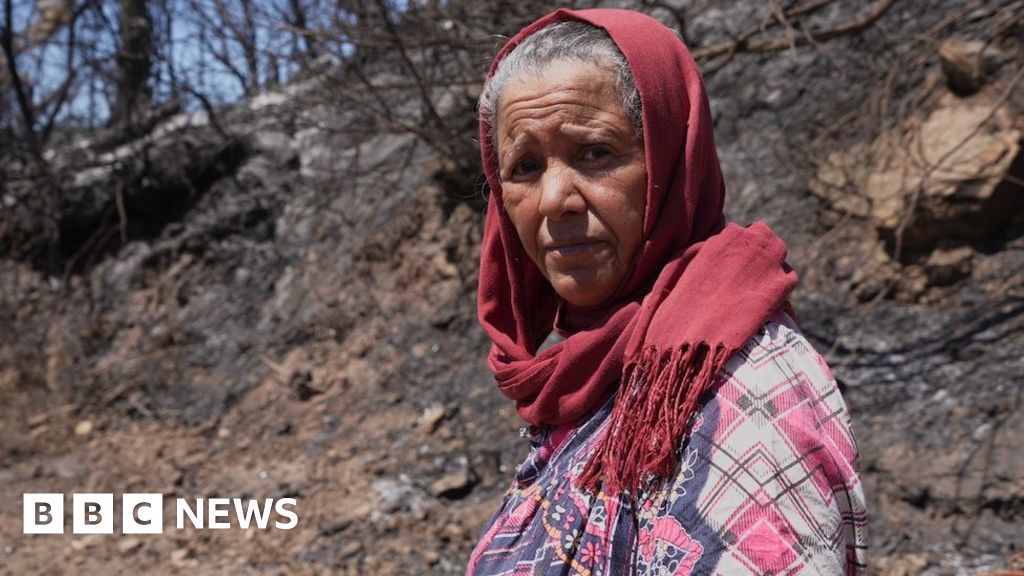 Горските пожари, които обхванаха Средиземно море, оставиха домове и бизнес
