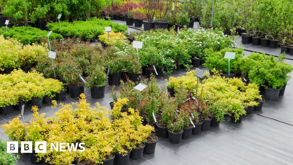 Safe stolen in Castle Douglas garden centre breakin BBC News