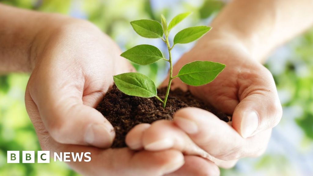 Can Microsoft's 'moonshot' carbon goal succeed? - BBC News