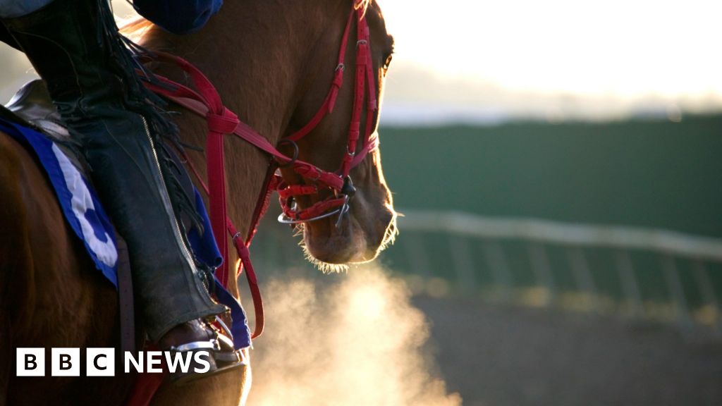 Horse-racing bosses condemn abattoir practices – BBC News