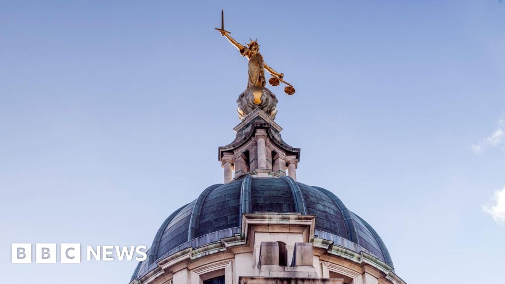 Alleged pro-Palestine protesters deny 1.2m damage