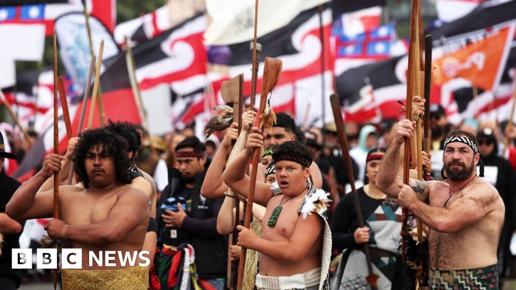 Maori protest as hikoi reaches Wellington