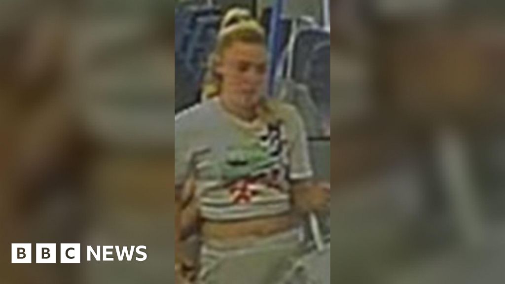 Gravesend: Police Appeal After Girl Bitten By Dog On Train