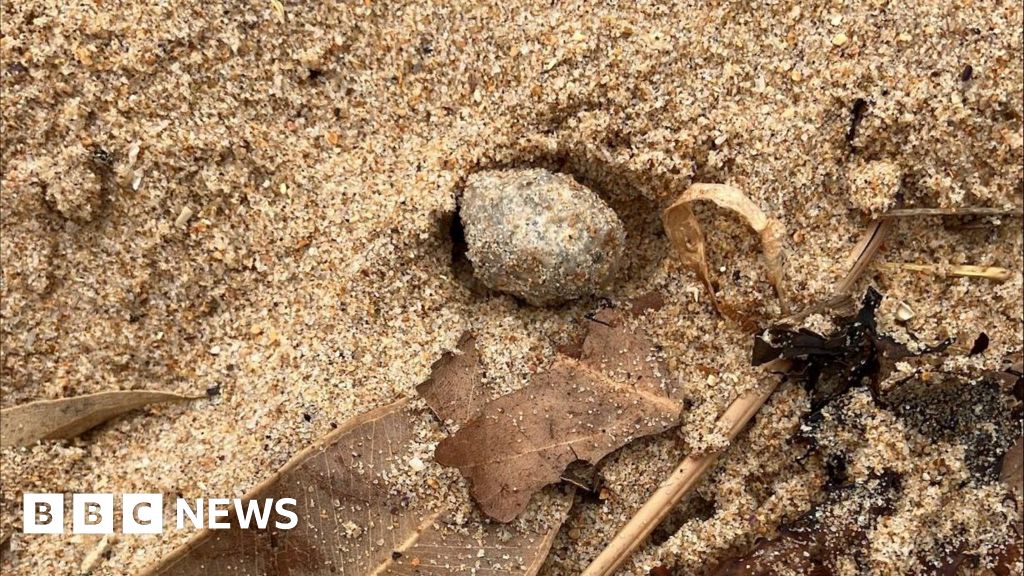 Faeces and bacteria found in mystery balls on beaches