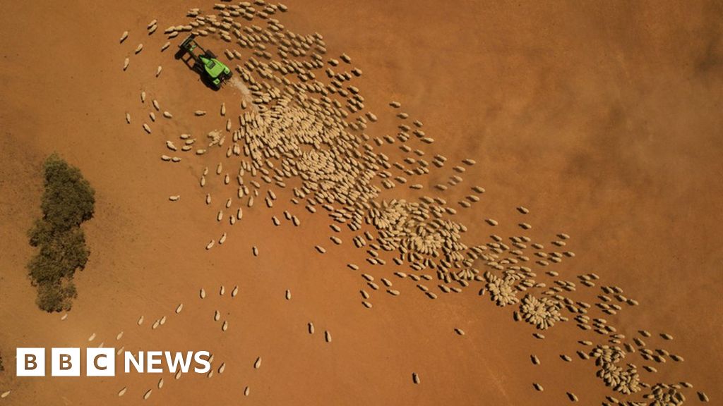 Striking reportages from all over the world in 2019