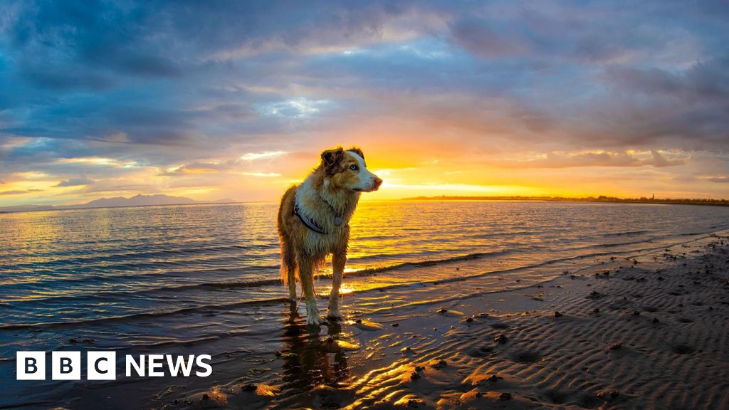 Your pictures of Scotland: Photographs from around the country