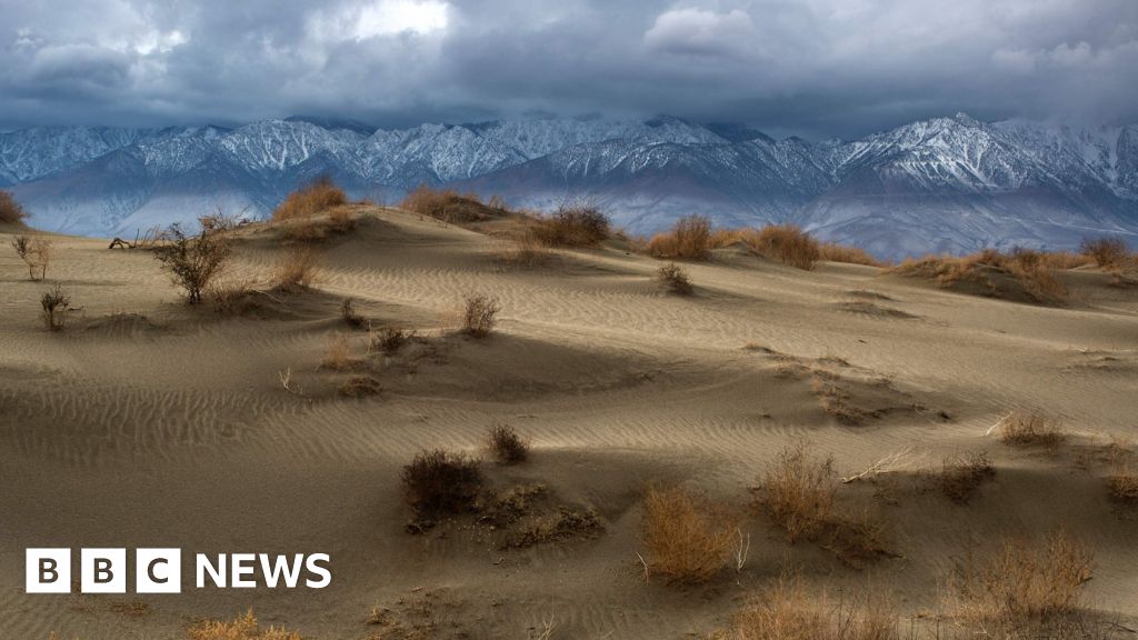 EPA chief doubts carbon dioxide's role in global warming BBC News