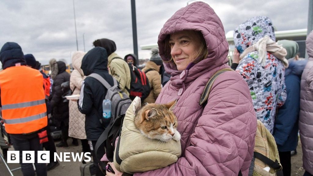 Ukraine war: UK Home Office is in crisis mode over visas