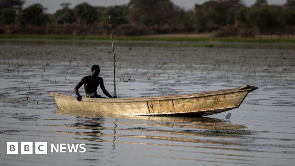 Dozens of Nigerian fishermen feared dead after Chad air strikes on Boko Haram