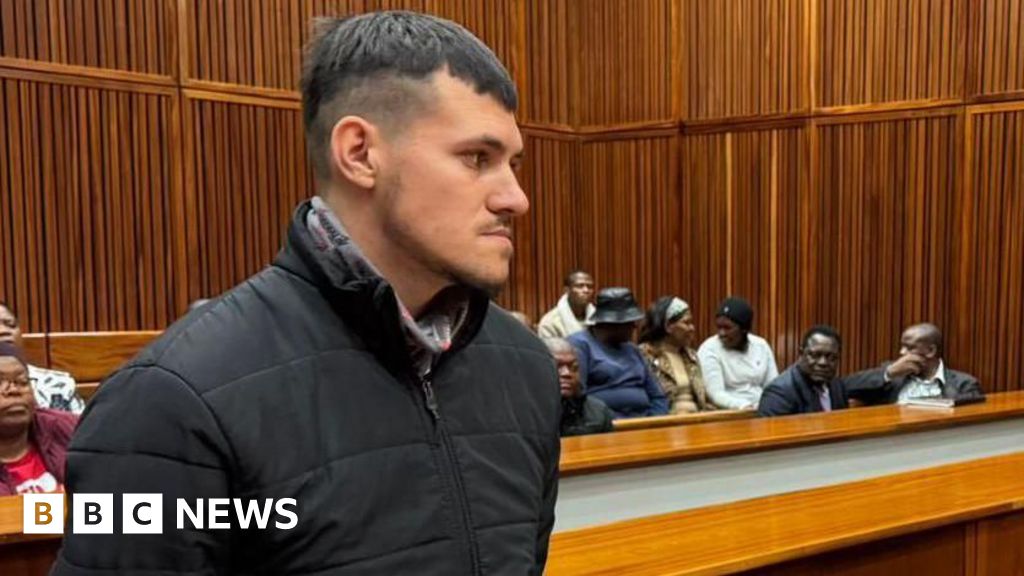 South Africa pig farm murders: Adrian de Wet walks free as he turns state witness