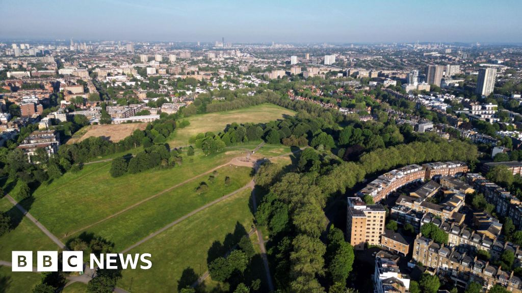 Man, 21, fatally stabbed at Primrose Hill