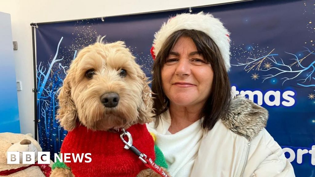 Santa, The Grinch, pets and people reunite at airports for Christmas