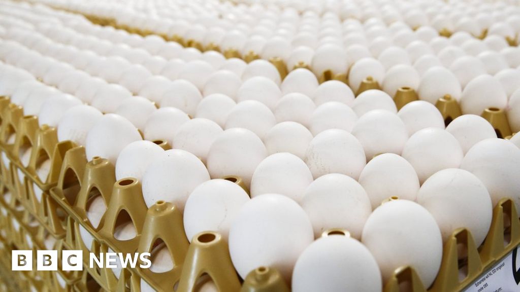 Germany in new Dutch eggs scare