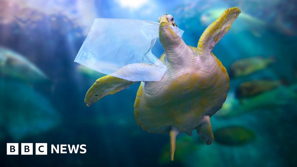 oceans-littered-with-171-trillion-plastic-pieces-bbc-news