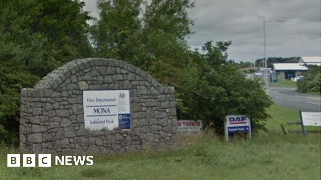 Anglesey cheese factory set to create 100 new jobs BBC News