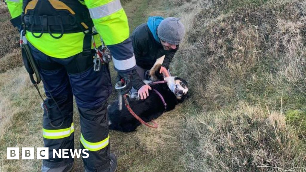 Dog rescue from cliffs prompts warning from Isle of Man coastguard