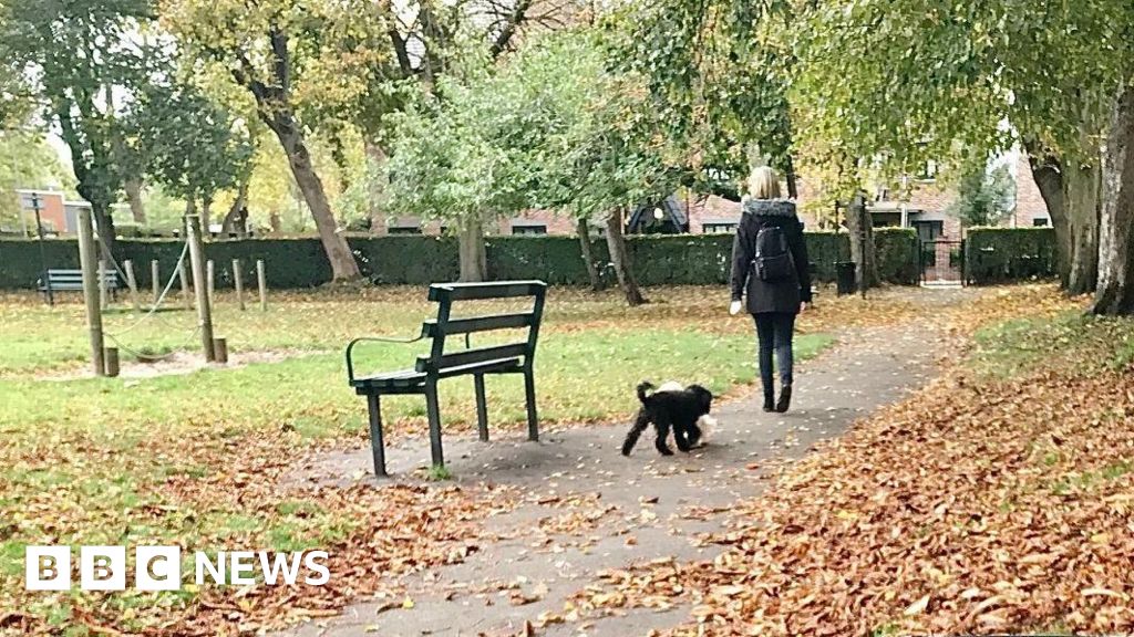 Rossendale Council Considers Tougher Dog Control Orders, Reducing Dogs Per Walker