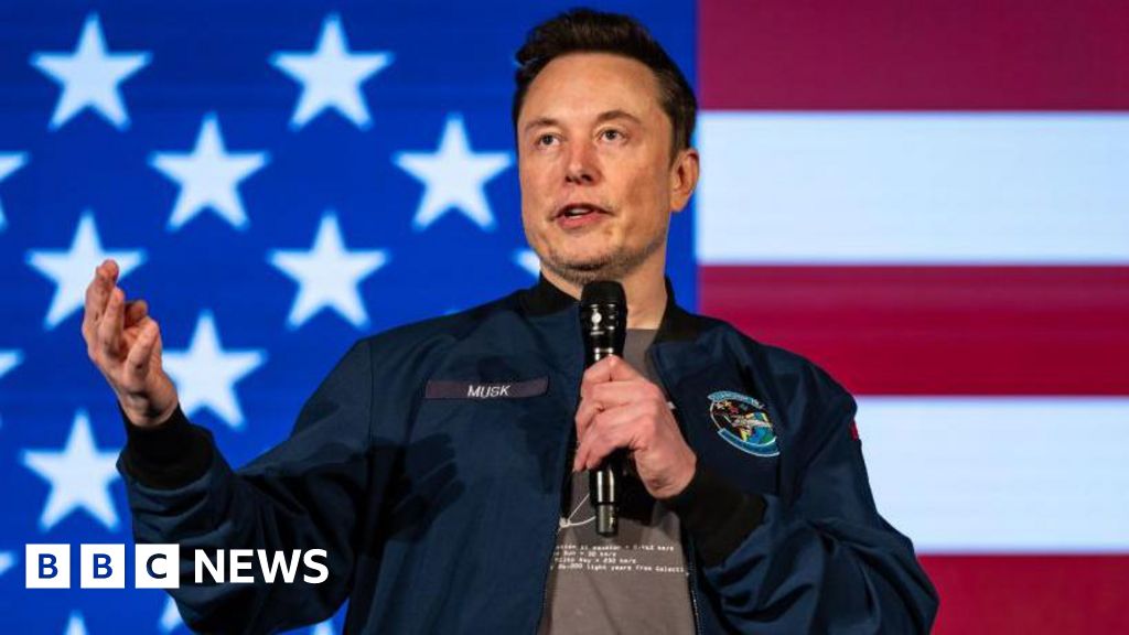 TikTok: Firm calls report of possible sale to Musk 'pure fiction'