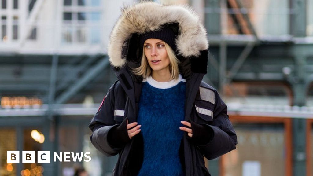 Canada Goose to end the use of all fur on coats BBC News