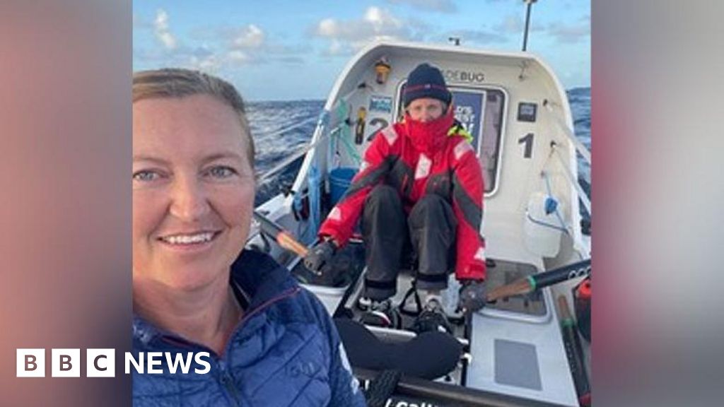 'We've rescued stricken turtle during Atlantic row'