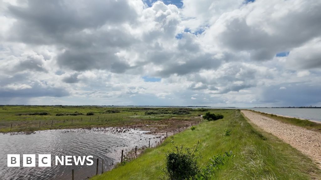 Failing sea defences 'disaster' for nature reserve