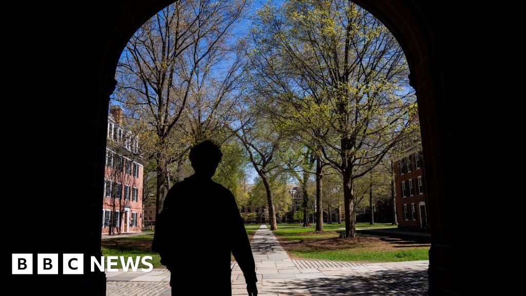 US colleges warn foreign students over Trump immigration crackdown