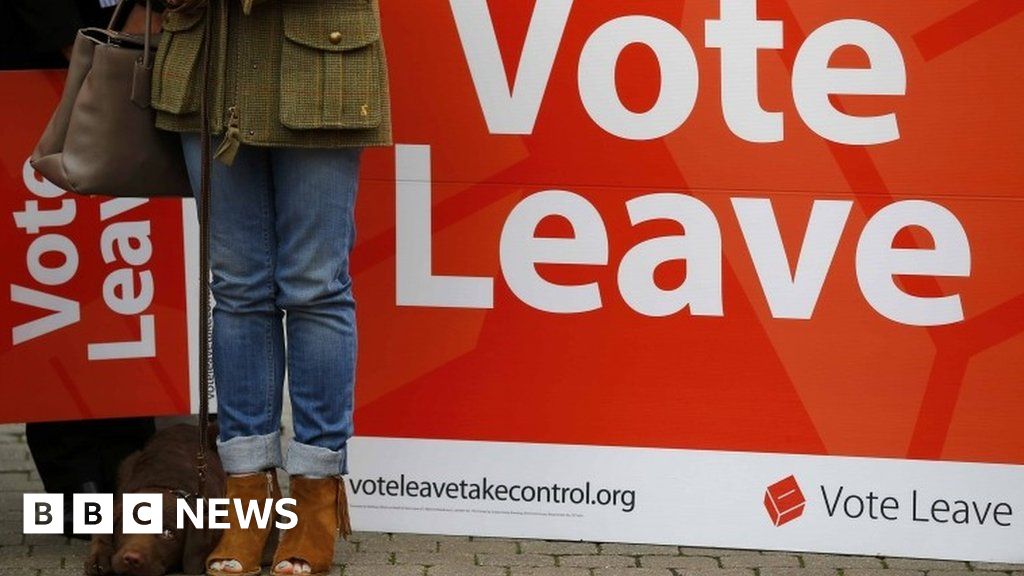 The people hoping to persuade UK to vote to leave the EU - BBC News