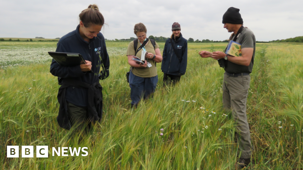 Hopes East West Rail will accept land's new status Farmland close to the planned line is made a County Wildlife Site to recognise its importance. Just now Cambridgeshire