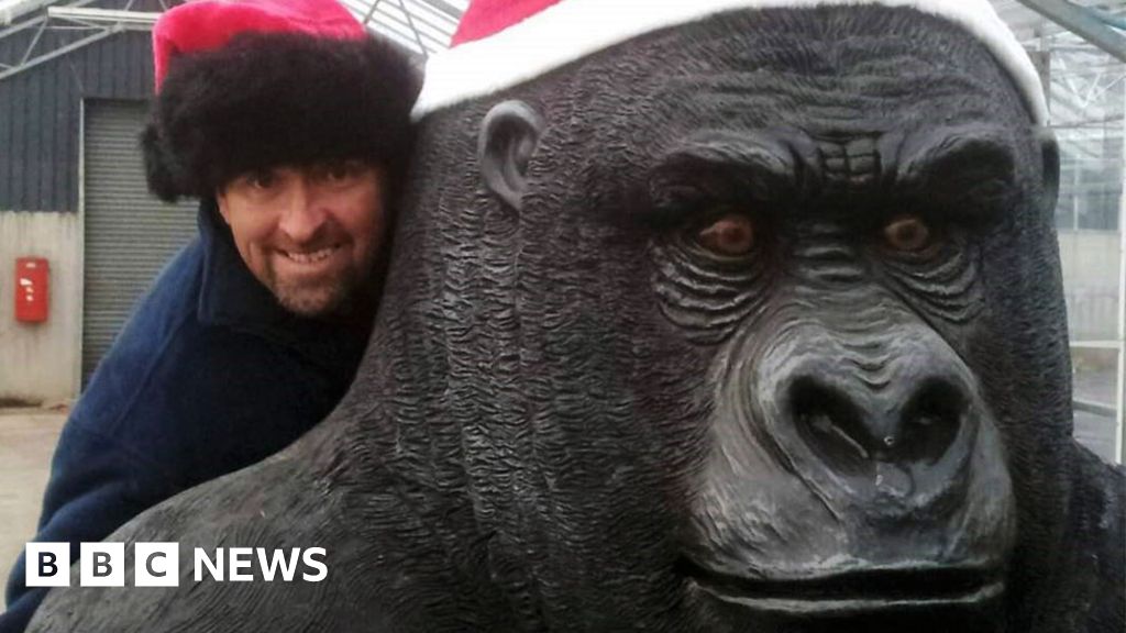 Gary The Gorilla Statue Stolen From Carluke Garden Centre