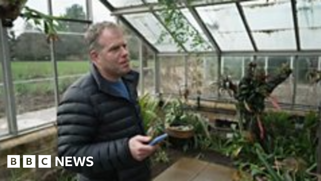 Cambridge Botanic Garden visitors can chat with AI‑enabled plants